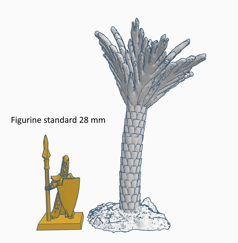 Palmiers A – Image 2