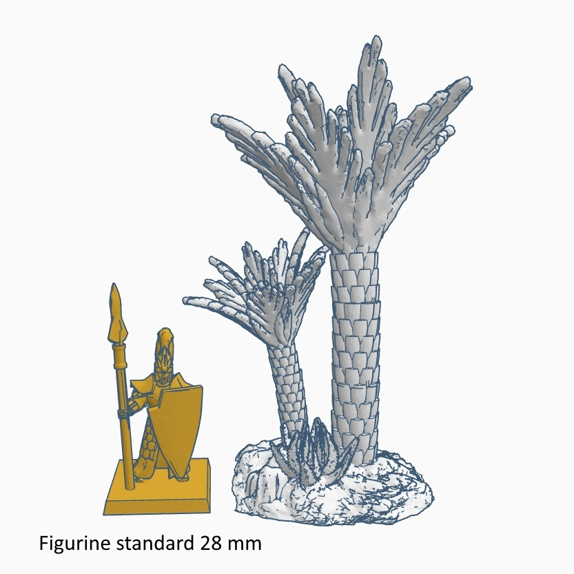 Palmiers B – Image 2