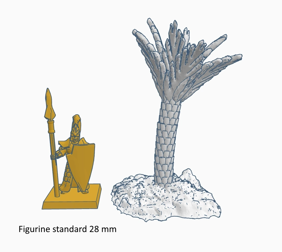 Palmiers C – Image 2